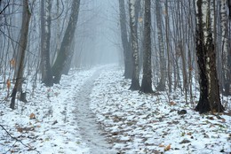 Уже не осень, еще не зима ... / &quot;Я искал, в недавно выпавшем снегу, осколки лета ...&quot;