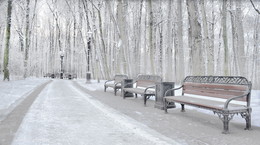 Опустевшая аллея / Январь 2015 года , парк Царицыно город Москва .