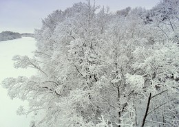 Снежность зимнего утра / Рано утром сильный снегопад накрыл природу белым, чистым покрывалом.