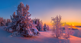 С Новым Годом, или Ладожская зима. / Друзья! Поздравляю всех с Новым Годом! Желаю солнца и радости цвета! Карелия. Ладожское озеро.