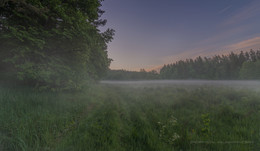 Летние рассветы / Пойма реки Ислочь залитая туманом.
d7100 + Tokina 116