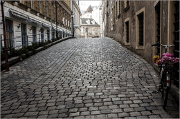 Вена /2017/ / Город и деревня