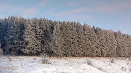 Причуды зимы / Все покрыто инеем