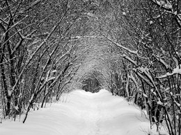 Портал зимы / Снег