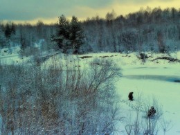 Зима на лесной реке / Зимняя река Серёжа