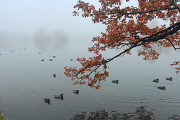 У воды / В парке