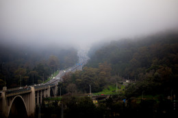 дорога в туман / Португалия, туман