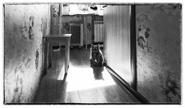 Добрая внутри. / ***