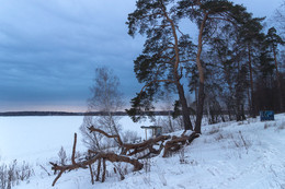 Зима на Сенеже / Солнечногорск, РФ