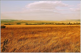 Знойное лето / Лето в Болгарии