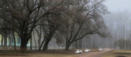 В весеннем тумане.... / Петергоф. Апрель