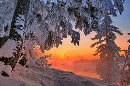 жаркая зима... / Иркутская область Казачинско-Ленский район