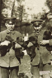 Было, но прошло / Трофейное фото &quot;Медвежата,родившиеся в Кёнигсбергском зоопарке 31 марта 1930 года&quot;