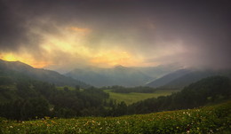 Утро после дождя / Кавказ