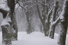 Зимний парк / Прогулка по заснеженной аллее...