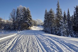 На лыжне... / Прогулка в солнечный день.