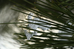 Ритмы природы. / Природа.