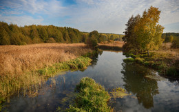 «река Посорь» / Природа в октябре