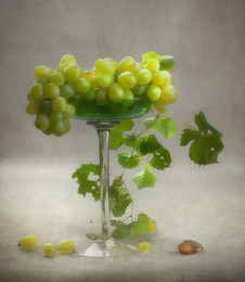 Ракушка и виноград :).. / ...