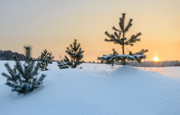 Вечереет... / Зимний вечер.