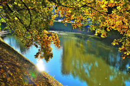 Осенняя палитра ... / &quot;Осень выкрасила город
 Колдовским каким-то цветом...&quot;