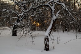 Зимняя заря / Туго прорезается зимняя заря