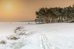Тропа, ведущая в лес / Замороженная и заснеженным Каунасский лагуны в середине зимы
