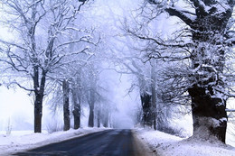 winter mist on the rural roads / зимние дороги
