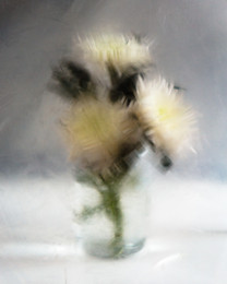 миниатюра с белыми хризантемами / Фото через вазелин. Вазэлин, заходи!)