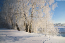 Зимняя прогулка / Морозы уходят, возможно, что в этом году, мы их уже не поймаем, в ближайших областях к Москве.
Поэтому сегодня утром мы решили прогуляться на ближайшую локацию - Истру.
Нам повезло, были отличные условия, крепкий мороз и солнечная погода.
Я уже год не был на Истре, было приятно пройтись по бережку, все деревья в инее, хороший туман до и во время восхода.
Удалось сделать парочку зарисовок, вот одна из них :)