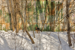 &nbsp; / по ту сторону реки Сетунь.Москва