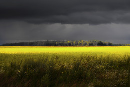 перед грозой / лето, Брянщина
