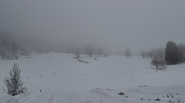 В туман уходящая дорога / Январский зимний день