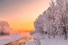 розовое утро января / Иркутская область Казачинско-Ленский район