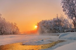 Золотое утреннее солнышко. / Иркутская область Казачинско-Ленский район.