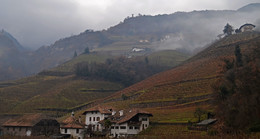 Виноградная страна / В итальянских Альпах