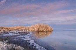 Первое утро года / Утро 1 января 2017 года. Южный берег Бакальского озера. Крым