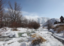 Дни зимы сочтены / предгорья вблизи Алматы