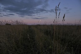 Смеркалось ... / Поздний вечер в поле ...