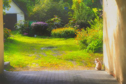 неяркое солнце ноября / осень, Коломна