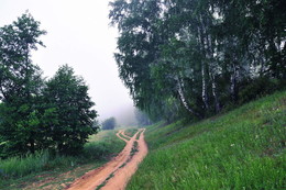 **Дорога в туман. / Утро на опушке леса.