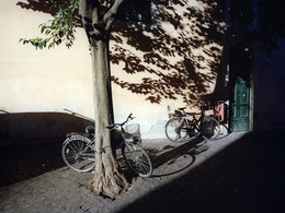 Велосипеды под деревом в Трастевере весной 2012 / Велосипеды под деревом в Трастевере весной 2012