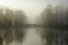Туманное плавание... / Осеннее утро в Александровском парке