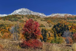 Осень / Кавказ...