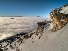 Над облачным океаном Карпат / Утренний вид в юго-западном направлении при подъеме на Петрос со стороны полонины Головческа. 30 января 2017 г.
