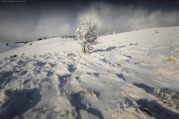 Зима на Демерджи / И снова картинка из Крыма :) Я до сих пор заканчиваю показывать серию, снятую на Демерджи этой зимой.