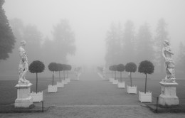 Туманное утро... / Осеннее утро в Екатерининском парке