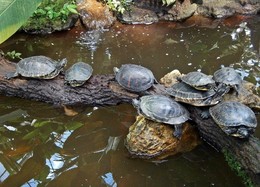 Teamwork / Работа в экипе!