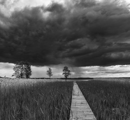 Буря мглою небо кроет / Майская гроза. Браславские озёра

Цветной вариант:
http://dburn.ru/images/photos/medium/7/7f685f6e3f714470cb01e29e991ca827.jpg