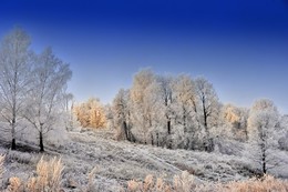 Мещериновская сторона / Зимний перепад температур и изморозь на верках